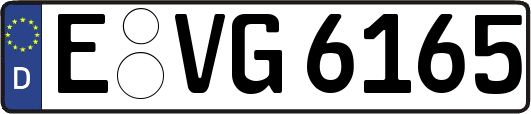E-VG6165