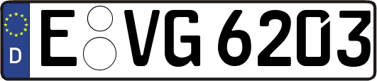 E-VG6203