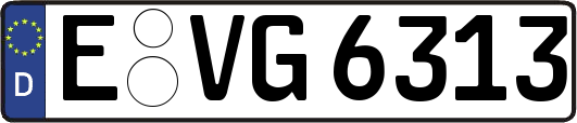 E-VG6313