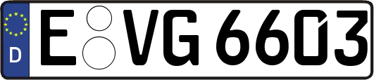 E-VG6603