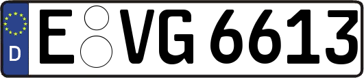 E-VG6613