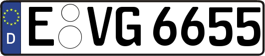 E-VG6655