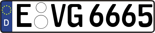 E-VG6665