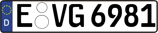 E-VG6981