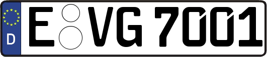 E-VG7001