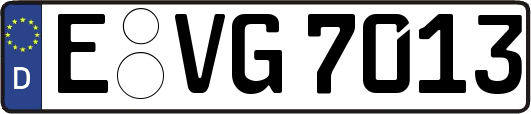 E-VG7013