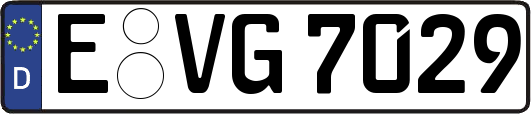 E-VG7029