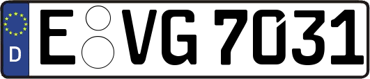 E-VG7031