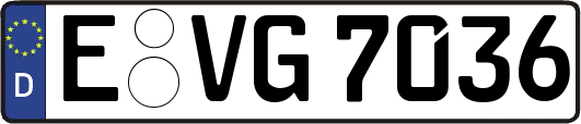 E-VG7036