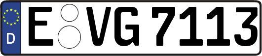 E-VG7113