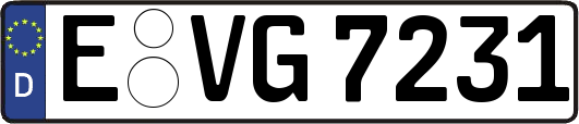 E-VG7231