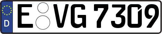 E-VG7309