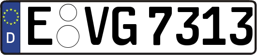 E-VG7313