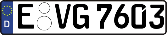 E-VG7603