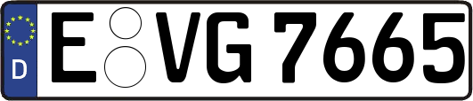 E-VG7665