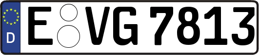 E-VG7813