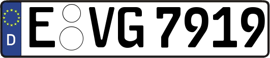 E-VG7919
