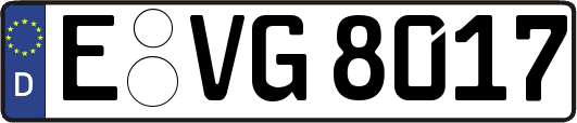 E-VG8017