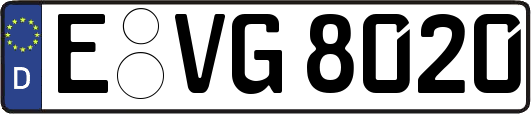 E-VG8020