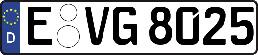 E-VG8025