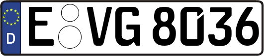 E-VG8036