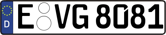 E-VG8081