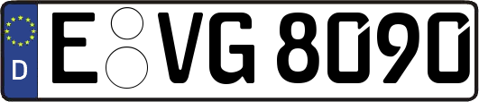 E-VG8090
