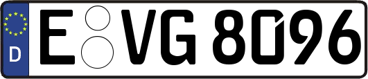 E-VG8096