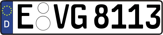 E-VG8113