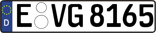E-VG8165