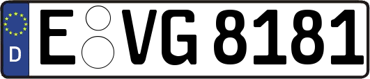 E-VG8181