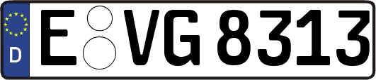 E-VG8313