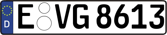 E-VG8613