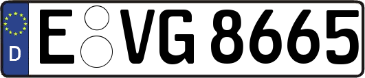 E-VG8665