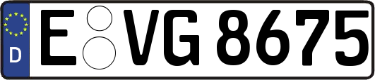 E-VG8675