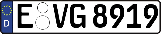 E-VG8919