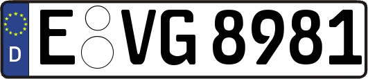 E-VG8981
