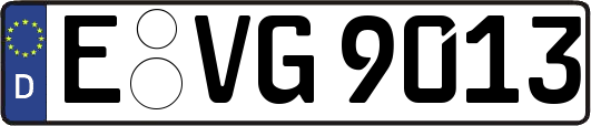E-VG9013