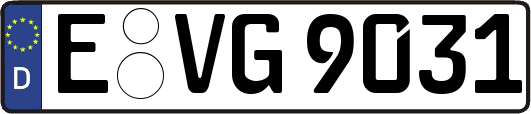 E-VG9031