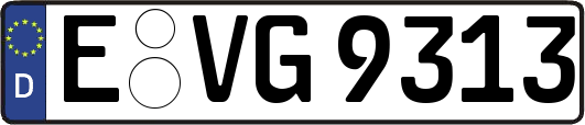 E-VG9313