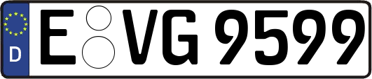 E-VG9599