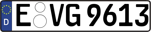 E-VG9613