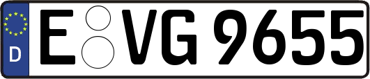 E-VG9655