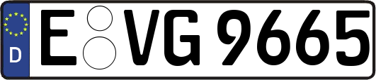 E-VG9665