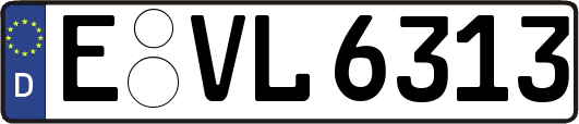 E-VL6313