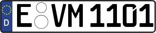 E-VM1101