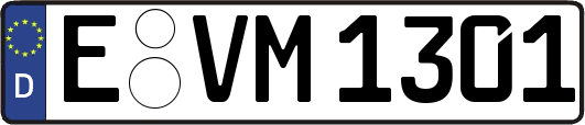 E-VM1301
