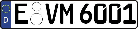 E-VM6001