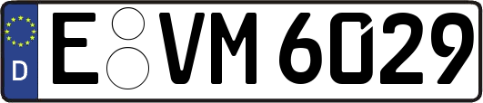 E-VM6029
