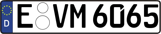 E-VM6065